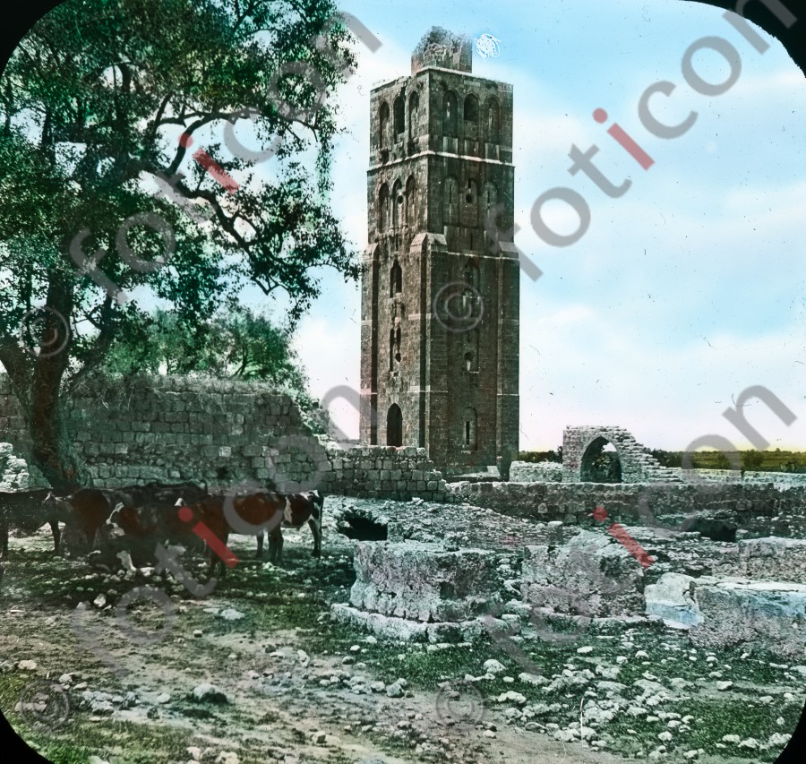 Turm der weißen Moschee in Ramla | Tower of the white mosque in Ramla - Foto foticon-simon-054-004.jpg | foticon.de - Bilddatenbank für Motive aus Geschichte und Kultur